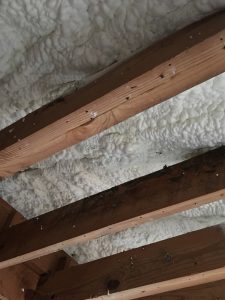 Insulation on Ceiling Energy Efficient Home