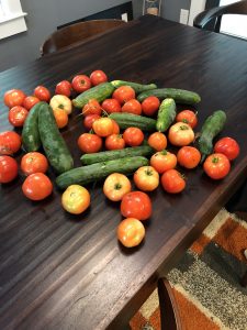 Tomatoes and Cucumbers Front Yard Gardens of Decatur Kevin Polite Solid Source Realty Inc