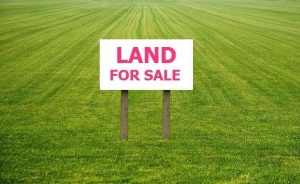 We Buy Land Decatur HausZwei Homes